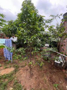 🏡 Casa estilo campestre en Los Patios – ¡Descubre tu nuevo hogar!