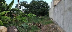 Lote-en-Venta-en-Conjunto-Campestre-Colinas-de-Corozal-los-patios_