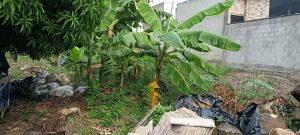 Lote-en-Venta-en-Conjunto-Campestre-Colinas-de-Corozal-los-patios_