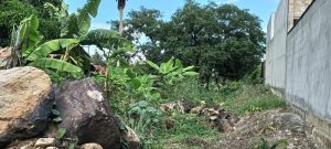 Lote-en-Venta-en-Conjunto-Campestre-Colinas-de-Corozal-los-patios_